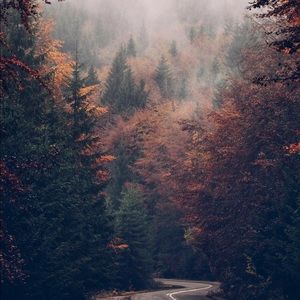 Meet your Posher, Hebah